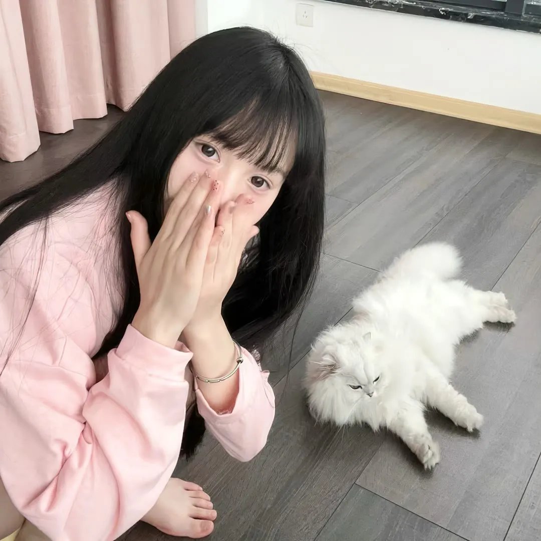 寻找葛莉丝