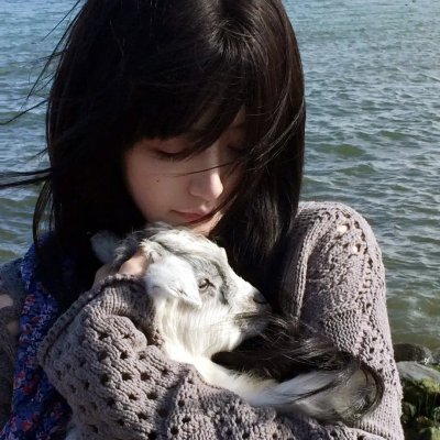 爱犬奇缘